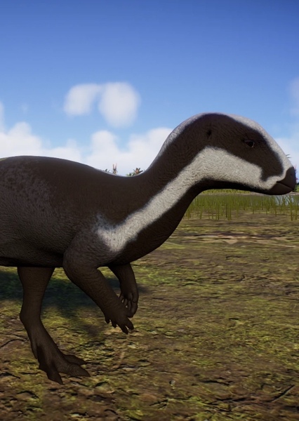 Hypsilophodon photo