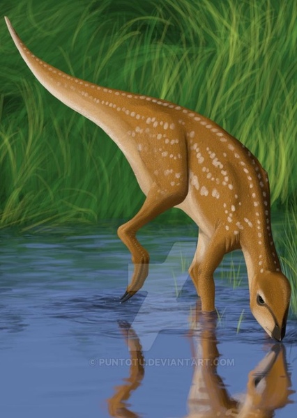Hypsilophodon photo