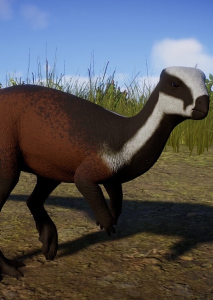 Hypsilophodon photo