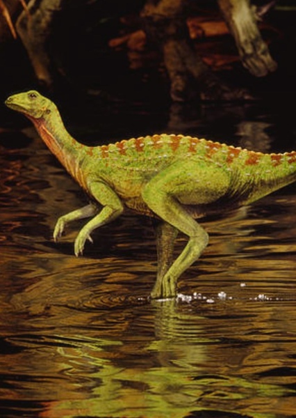 Hypsilophodon photo