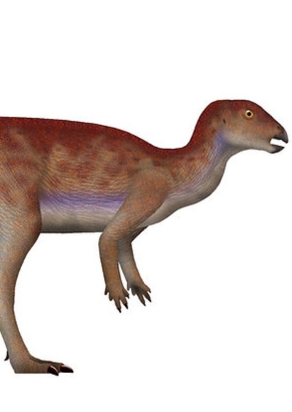 Hypsilophodon photo