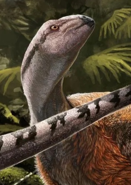 Hypsilophodon photo
