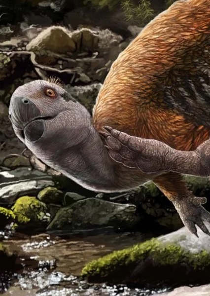 Hypsilophodon photo