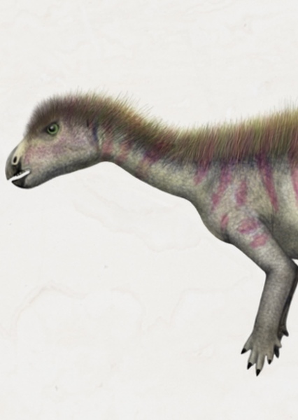Hypsilophodon photo