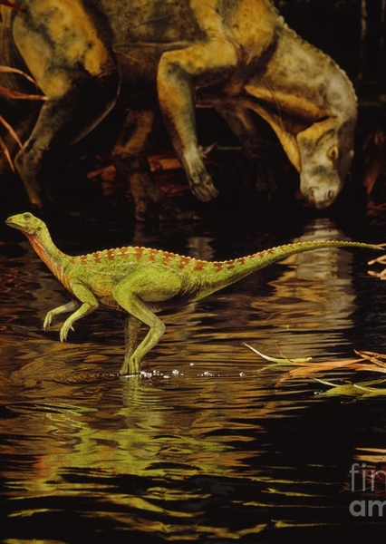 Hypsilophodon photo