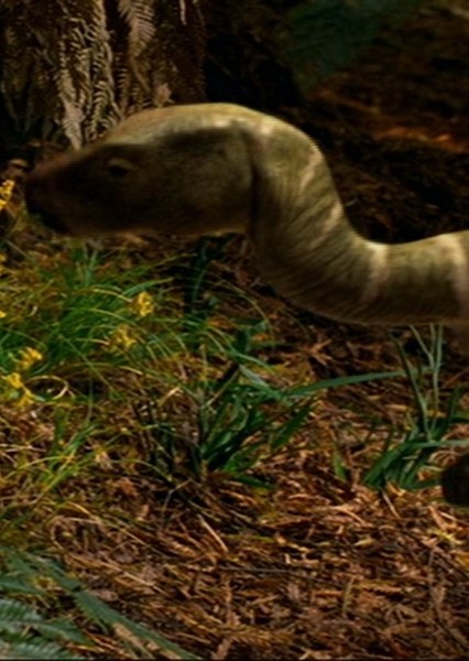 Hypsilophodon photo