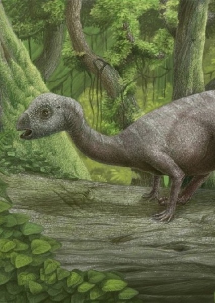 Hypsilophodon photo