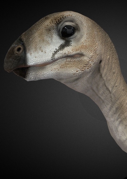 Hypsilophodon photo