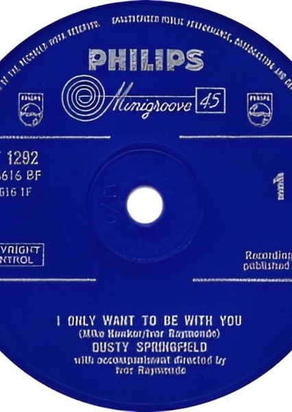 I Only Want to Be With You photo