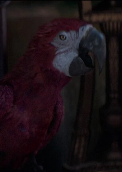 Iago photo