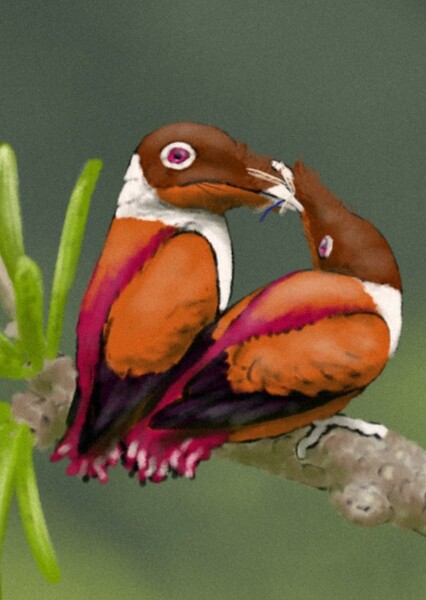 Iberomesornis