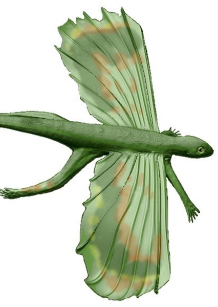 Icarosaurus