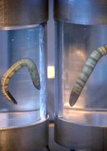 Ice (The X-Files episode)