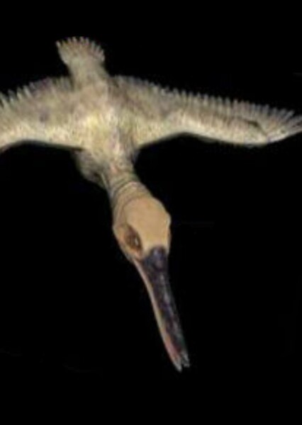 Ichthyornis photo