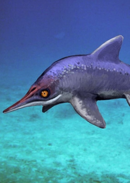 Ichthyosaurus photo