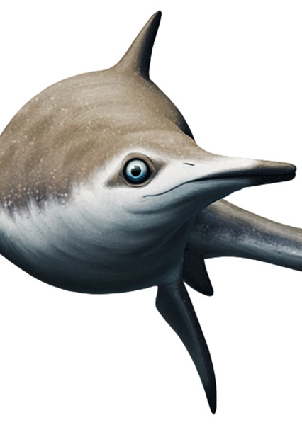 Ichthyosaurus photo