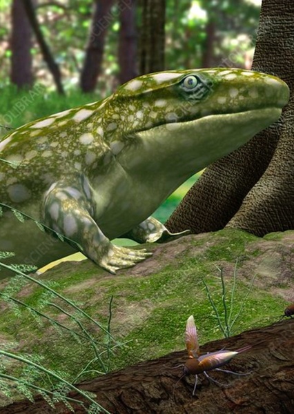 Ichthyostega photo