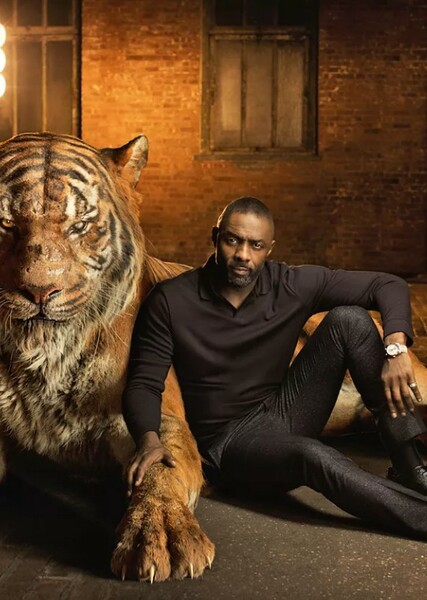 Idris Elba photo