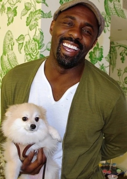 Idris Elba photo