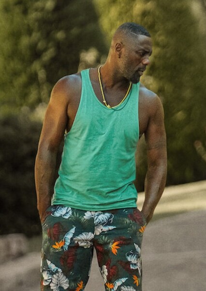 Idris Elba photo