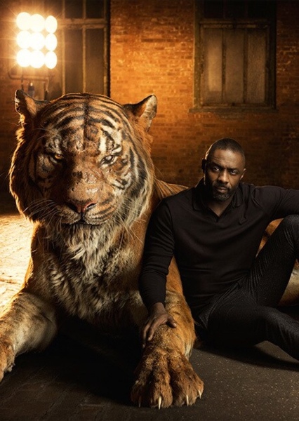 Idris Elba photo