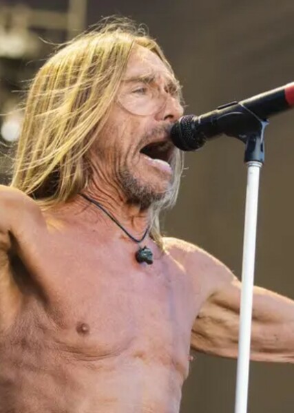 Iggy Pop photo
