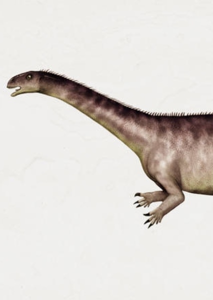 Ignavusaurus
