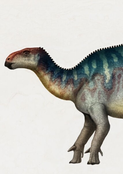 Iguanacolossus photo