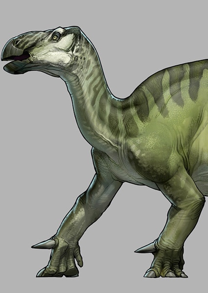 Iguanodon photo