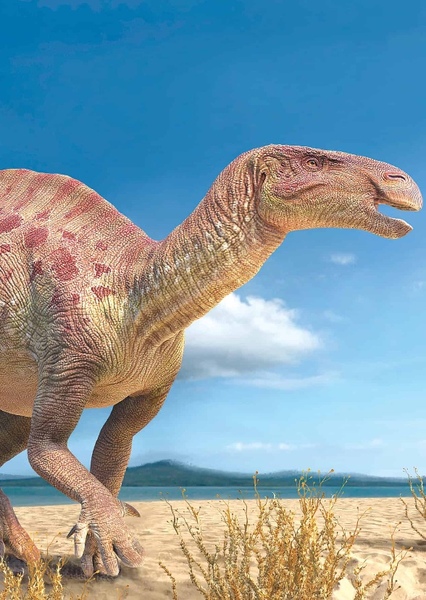 Iguanodon photo