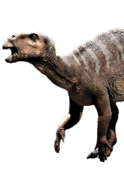 Iguanodon photo