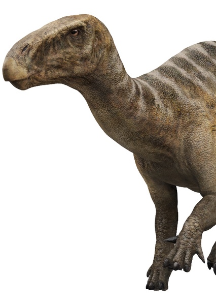 Iguanodon photo