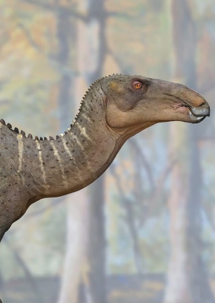 Iguanodon photo