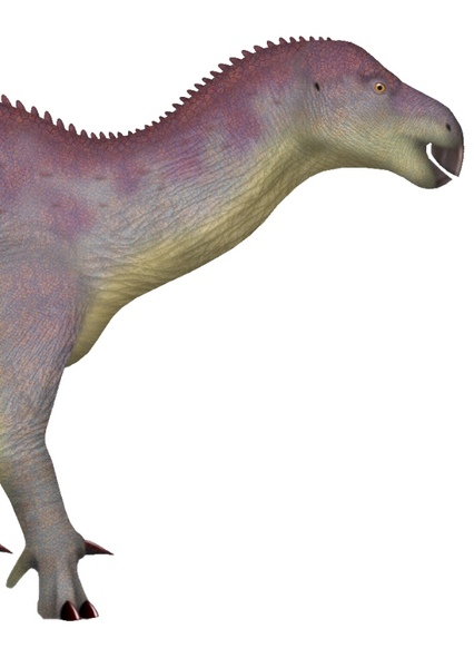 Iguanodon photo