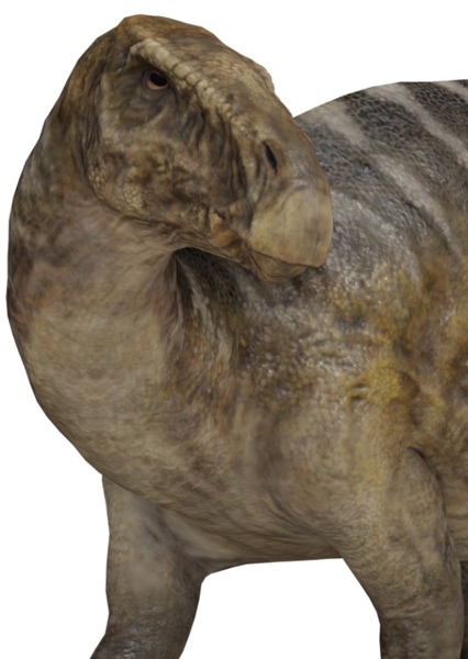 Iguanodon photo