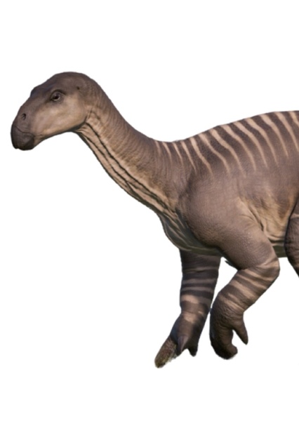 Iguanodon photo