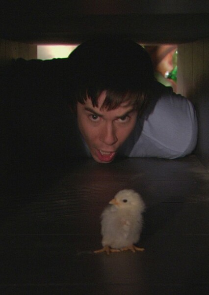 iHatch Chicks photo