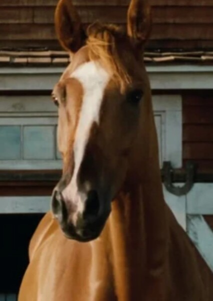 Ike the Horse (Charlotte's Web)