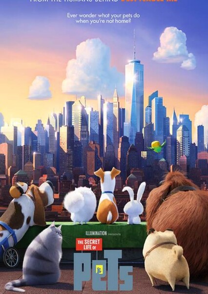 Illumination entertainment photo