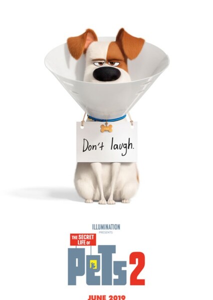 Illumination entertainment photo