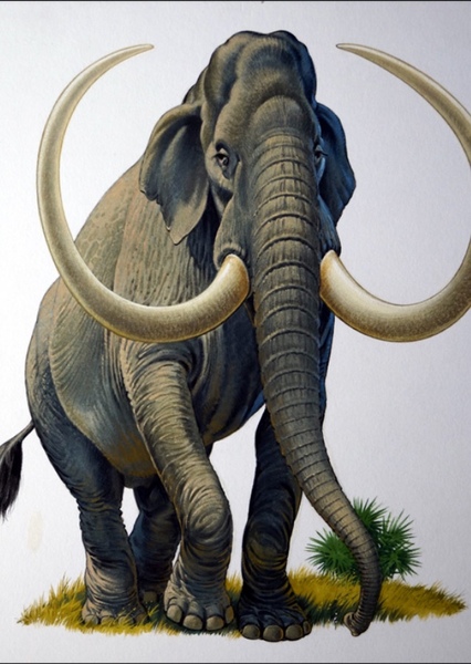 Imperial Mammoth