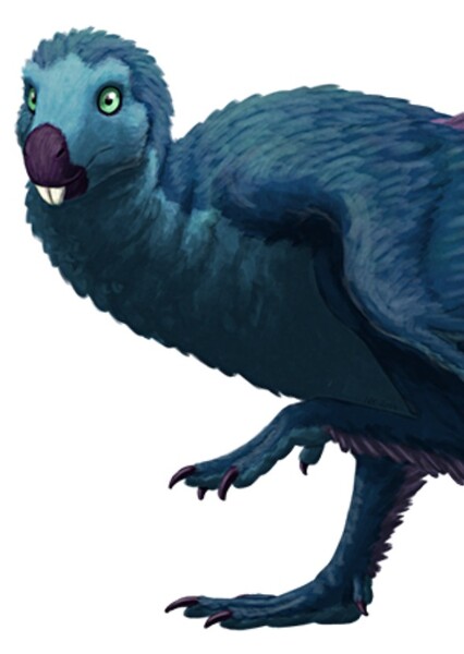 Cretaceous China