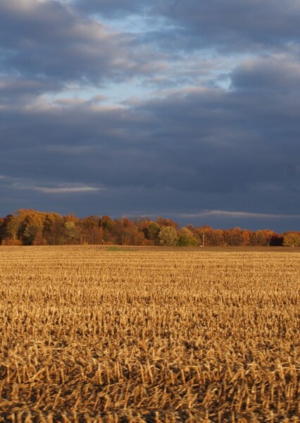Indiana (state)