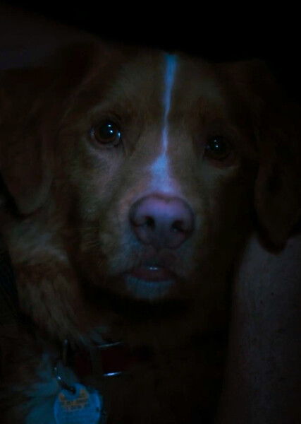 Krypto