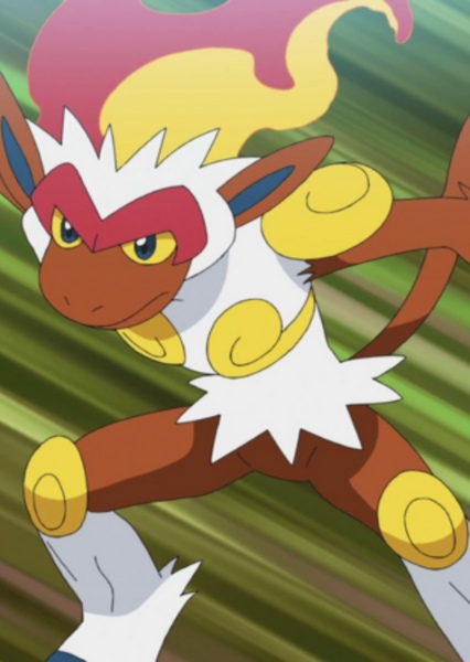 Infernape photo