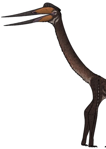 Infernodrakon