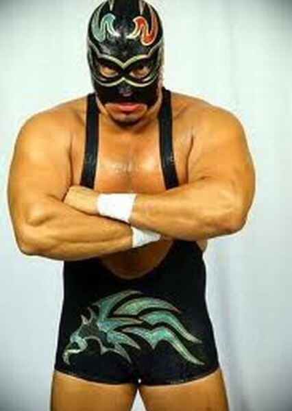 INTERIM ACW WORLD MAYHEM CHAMPION SILVER RAIDER