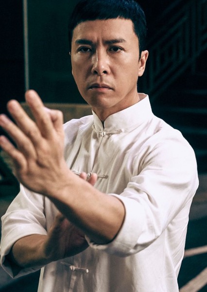 Ip Man (Ip Man 2008) photo