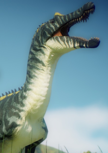 Irritator