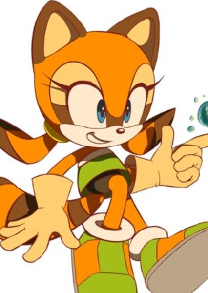 Marine The Raccoon